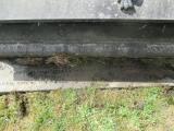 image of grave number 736778